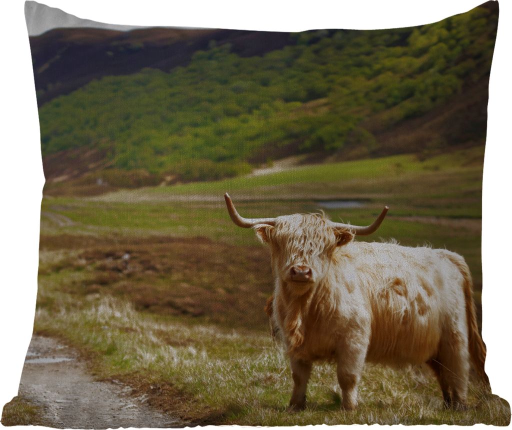 MuchoWow Outdoor Kissen - Schottische Hochlandrind - Pfad - Wald - 40x40 cm - Wetterfest - Lounge Kissen - Kopfkissen - Interieur - Polster mit Bild