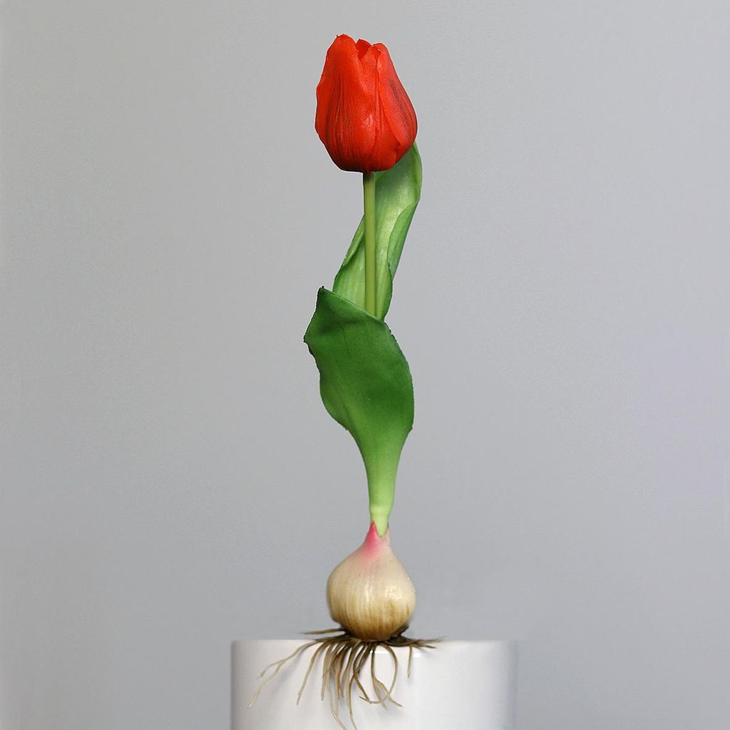 6er Set künstliche Tulpen mit Zwiebel rot grün H. 25cm DPI Produktbild 