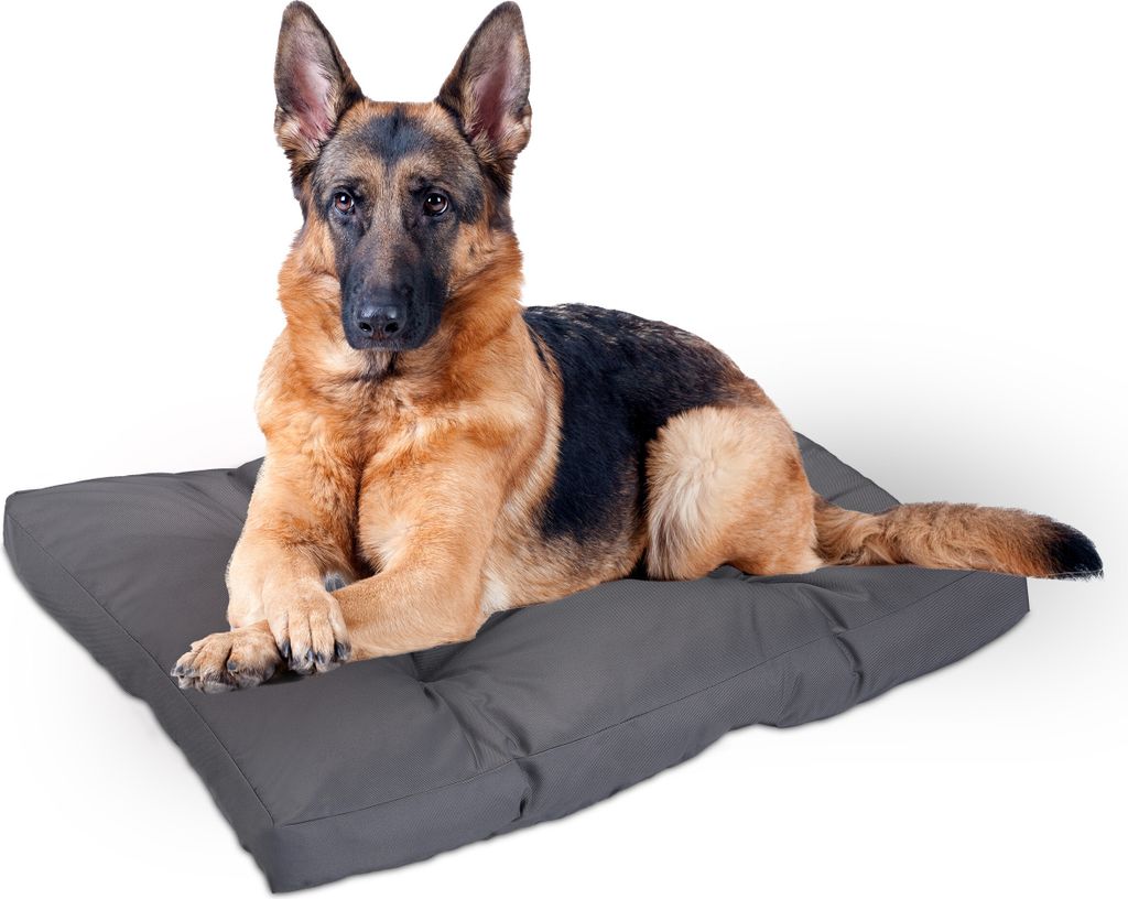 Relaxdays Hundebett, 110 x 90 cm, weiches Hundekissen für große Hunde, wasserfest, waschbar, Hundematte, Tierbett, grau