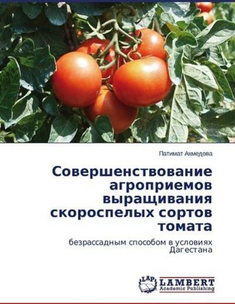 Sovershenstvovanie agropriemov vyrashchivaniya skorospelykh sortiov tomata
