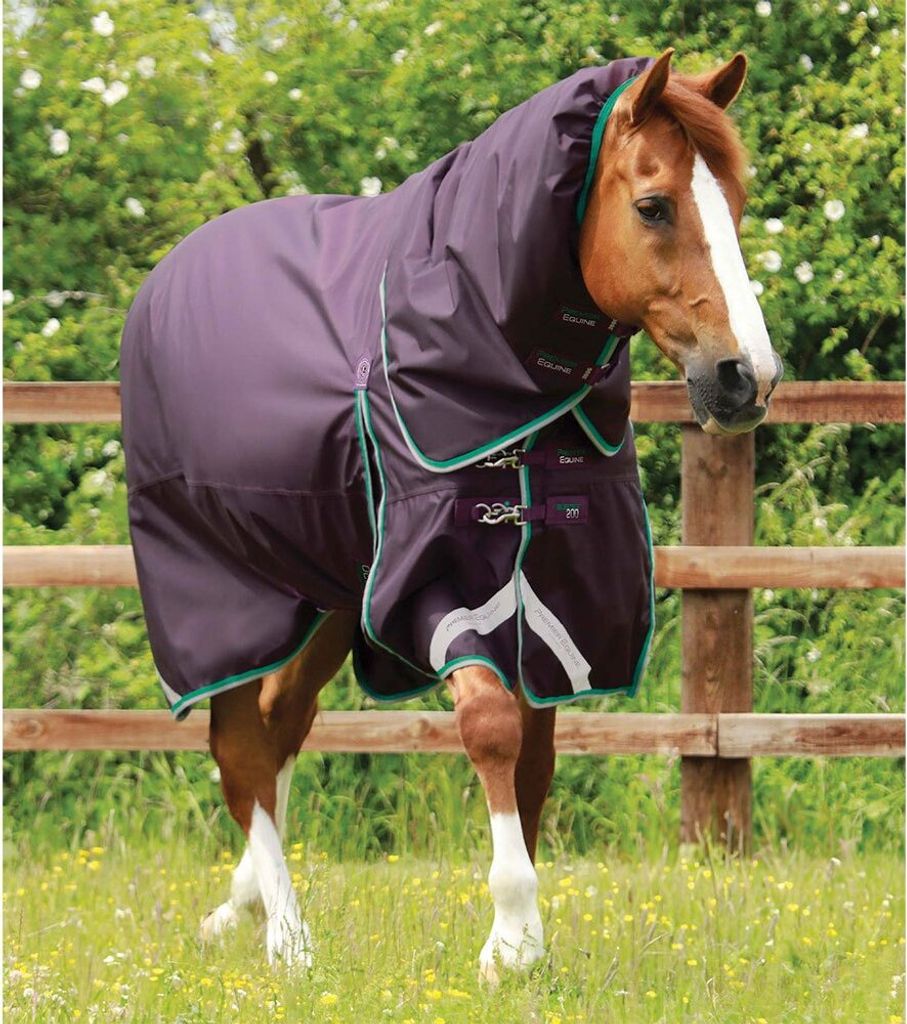 Premier Equine Buster 200g With Snug-fit Neck Cover Weidedecke Lila 213 cm - L Neck Lila 213 cm - L Neck