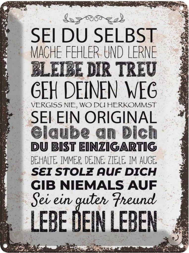 vianmo Blechschild 40x30 cm Sei du selbst mache Fehler lerne Spruch Zitat