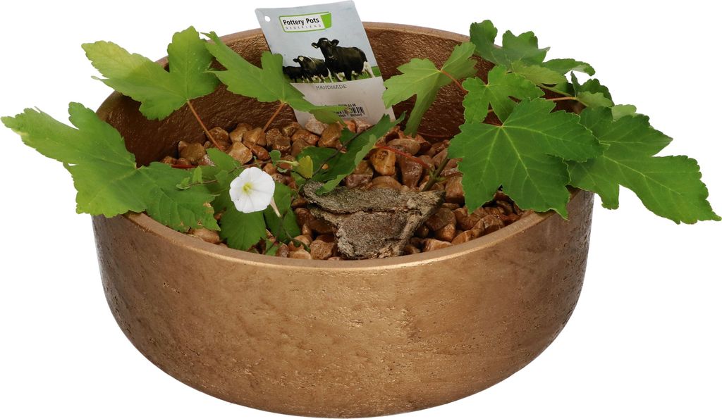 Ethan Dekoschale Bronze Größe M Schale Glasfaser Stein Beton Deko Drinnen Draußen wetterfest