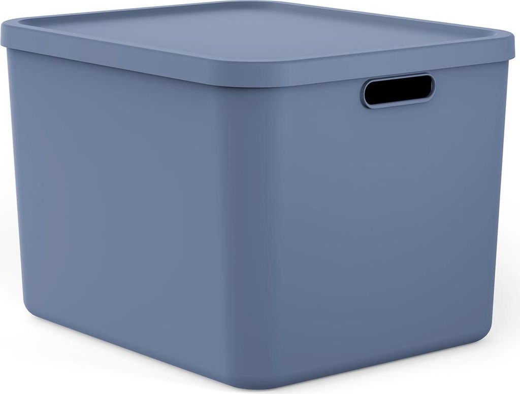 Rotho Albula Multibox 55 l, niebieski Zdjęcie produktu 