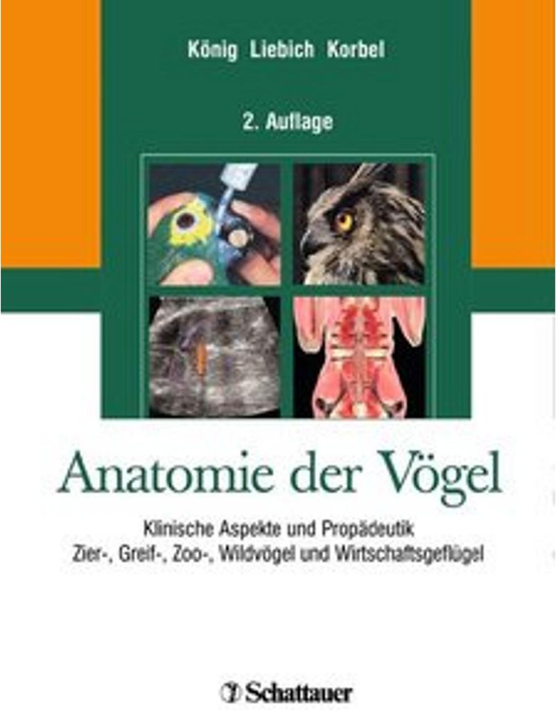 Anatomie der Vögel