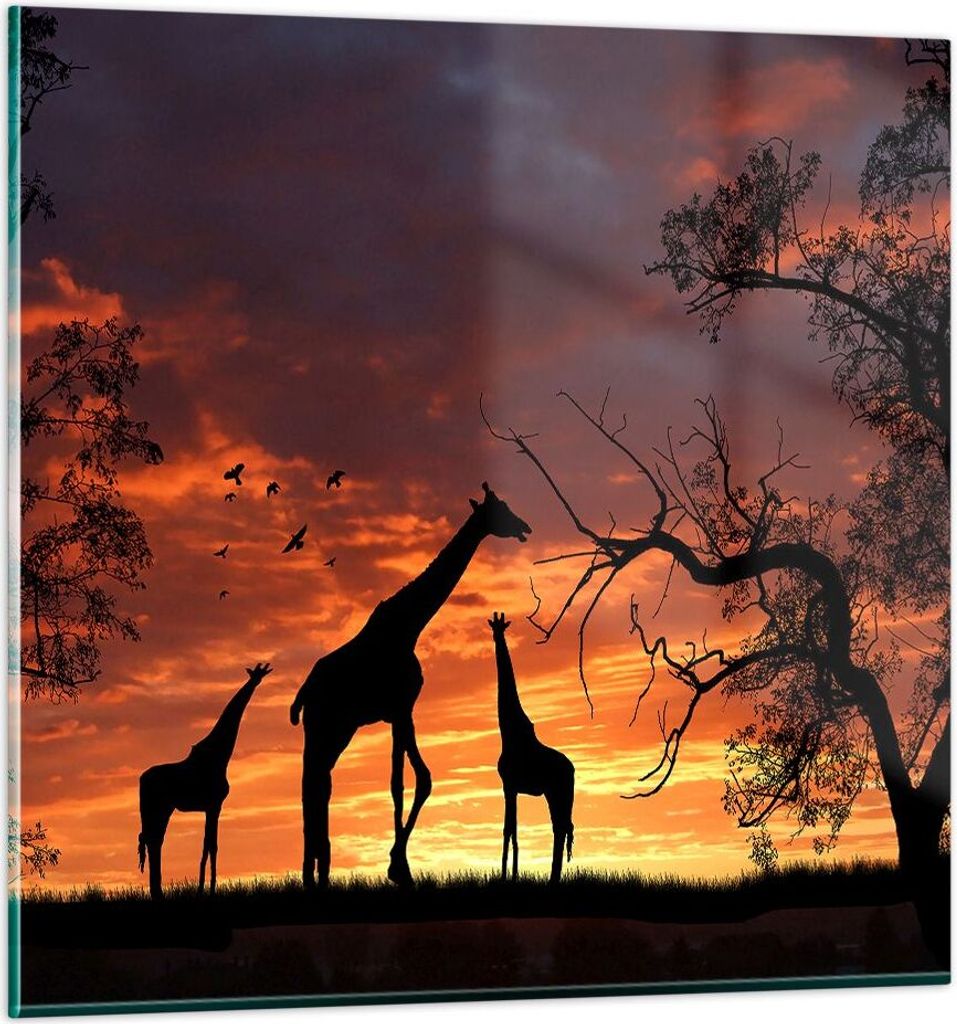 Bilder auf glas - Giraffe Afrika Sonne Safari - 40x40cm - Glasbilder - Wandbilder - Kunstdruck - zum Aufhängen bereit - Wanddekoration aus Glas - ...
