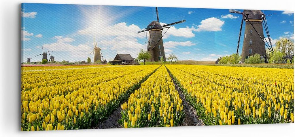 Bild auf Leinwand - Leinwandbild - Tulpen Windmühle Wiese Landschaft - 100x40cm - Wand Bild - Wanddeko - Leinwanddruck - Bilder - Kunstdruck - Lei...