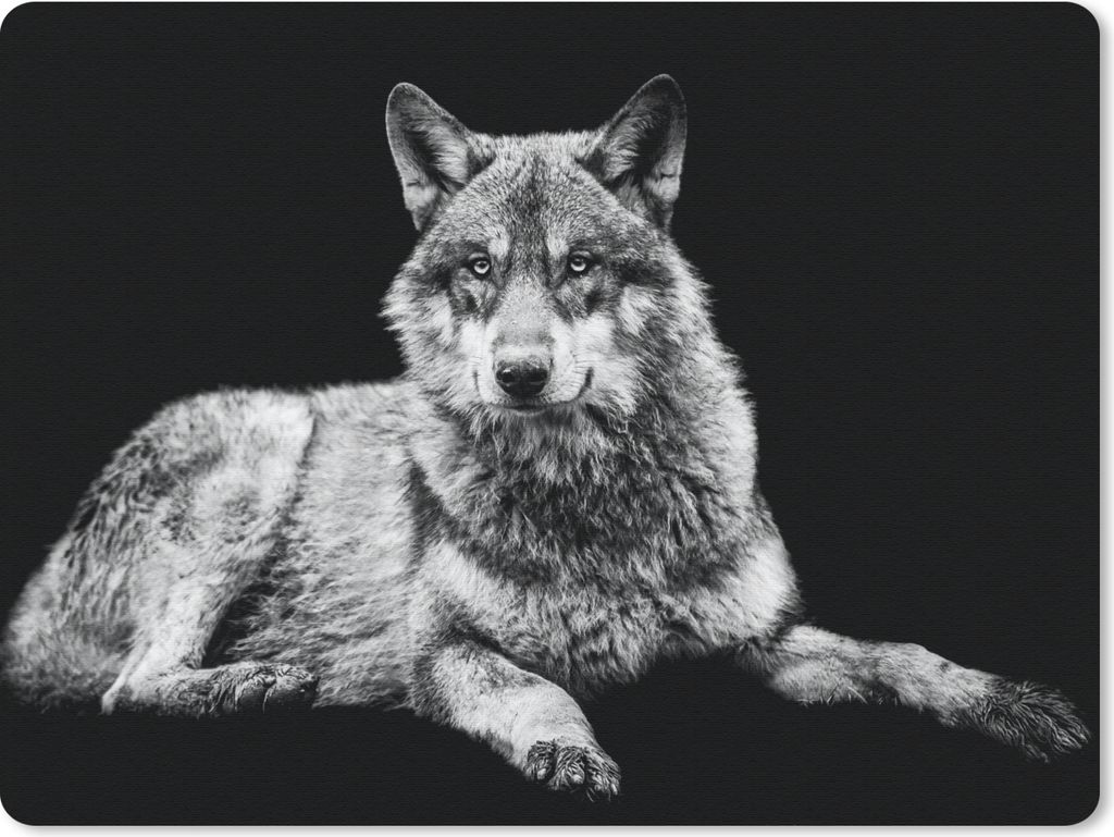 MuchoWow Mauspad Mousepad Wildlife - Wolf - Schwarz - Weiß 40x30 cm - Mousepads - Maus Mat - Pad - Mausunterlage - Anti Rutsch