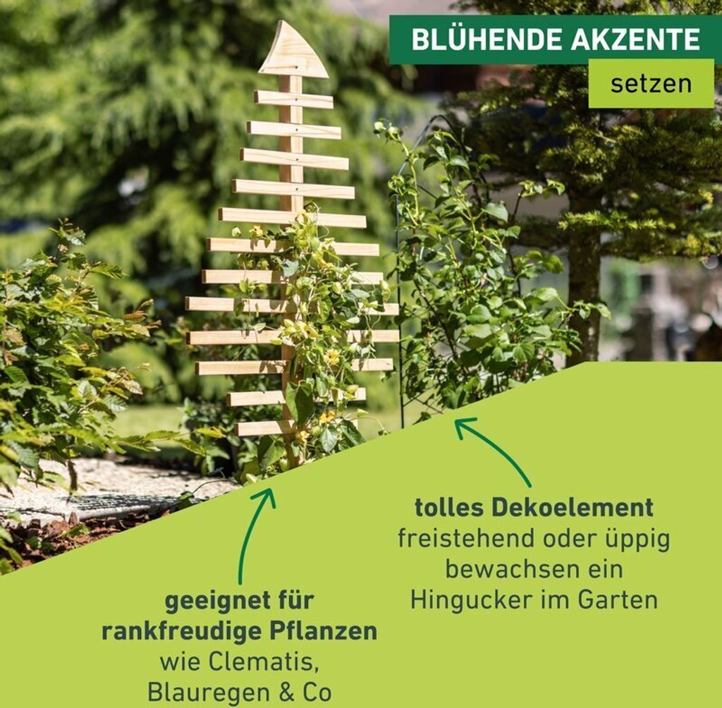 Rankspalier aus Holz, Blatt, 70x119cm Produktbild 5