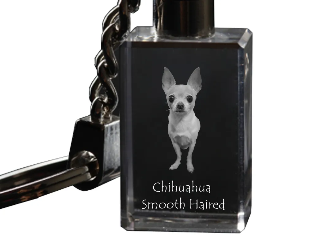 NATSUNO Portachiavi Chihuahua In Acciaio Inox - Regalo Per Amanti Dei Cani Con Incisione 'La Vita è Migliore Con Un Chihuahua'