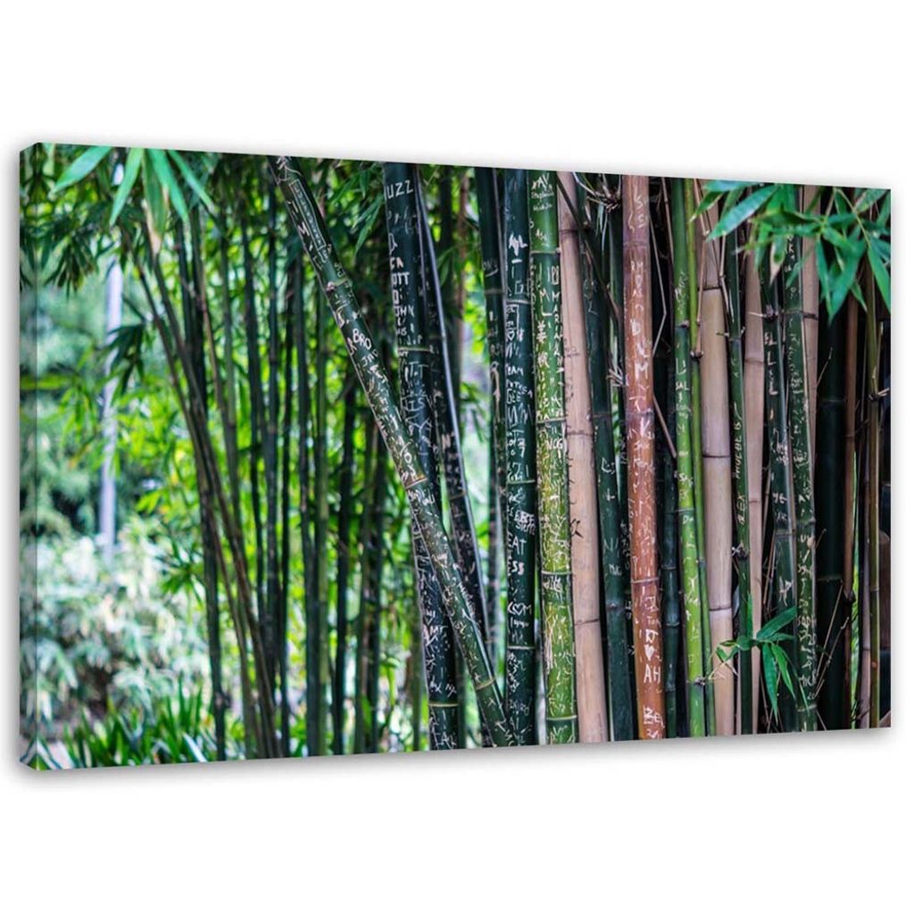 Leinwandbild bambushalme 90x60 cm Feeby grün wandbild bereit zum aufhängen