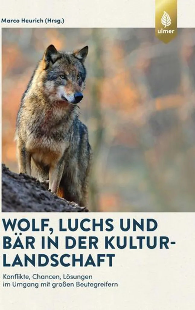 Étude Loup, Lynx et Ours : Faune Sauvage et Gestion des Territoires