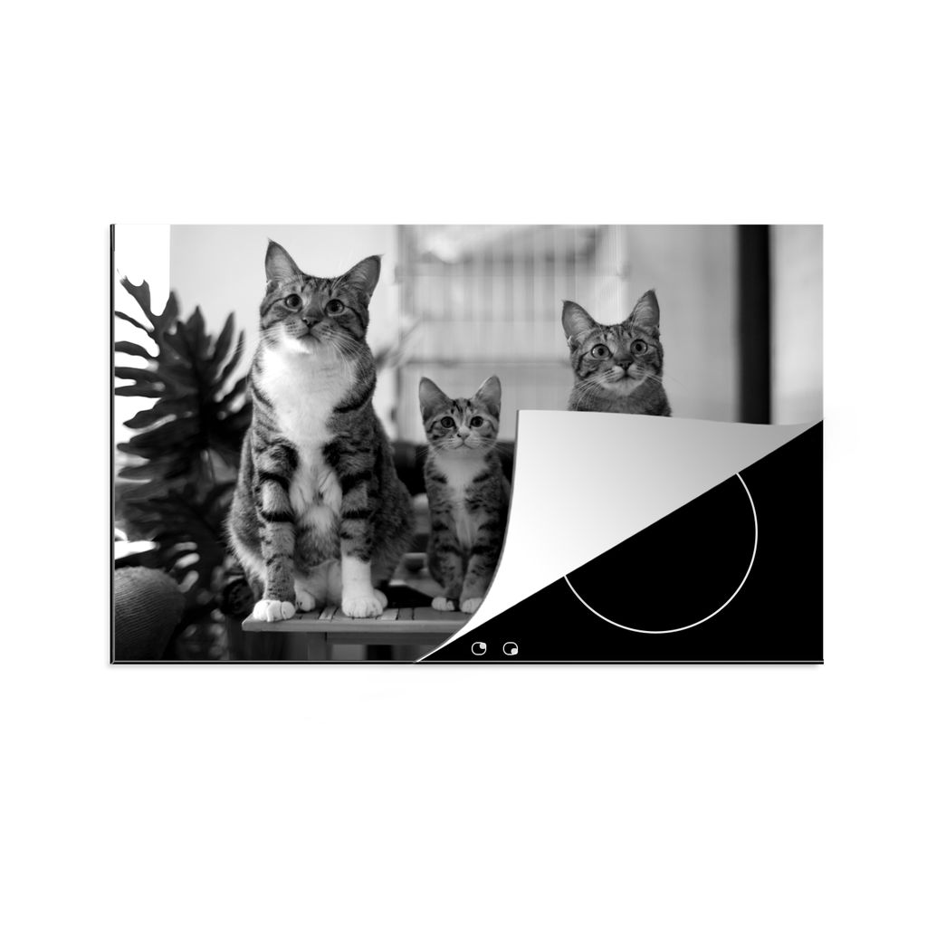 KitchenYeah Herdabdeckplatte Drei Katzen auf kleinem Tisch - schwarz und weiß , 78x52cm, Küche Deko, Glaskeramikkochfeld Herdabdeckung, Abdeckp...