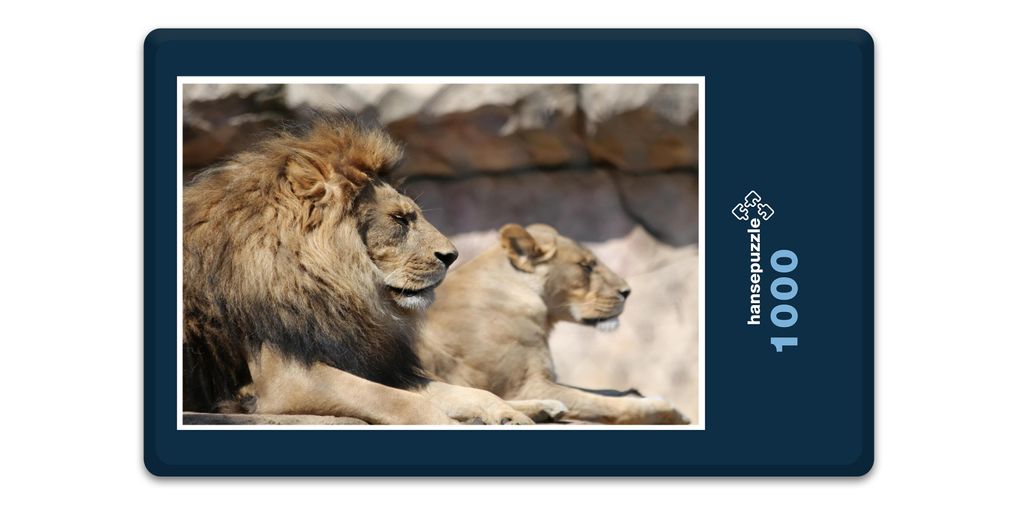 hansepuzzle 12220 - König der Tiere Puzzle, 1000 Teile, Tierwelt, 60,0 x 46,0cm mit hochwertiger Aufbewahrung, Kartonbox & Beutel