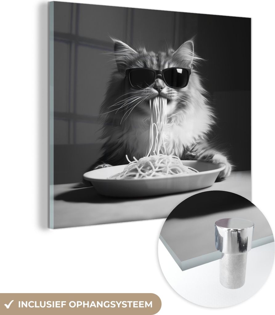 MuchoWow Glasbilder - Bilder auf Wandbild - Foto auf Glas Langhaarkatze - Sonnenbrille - Spaghetti - Humor - Schwarz - Weiß 40x40 cm Wanddekoratio...