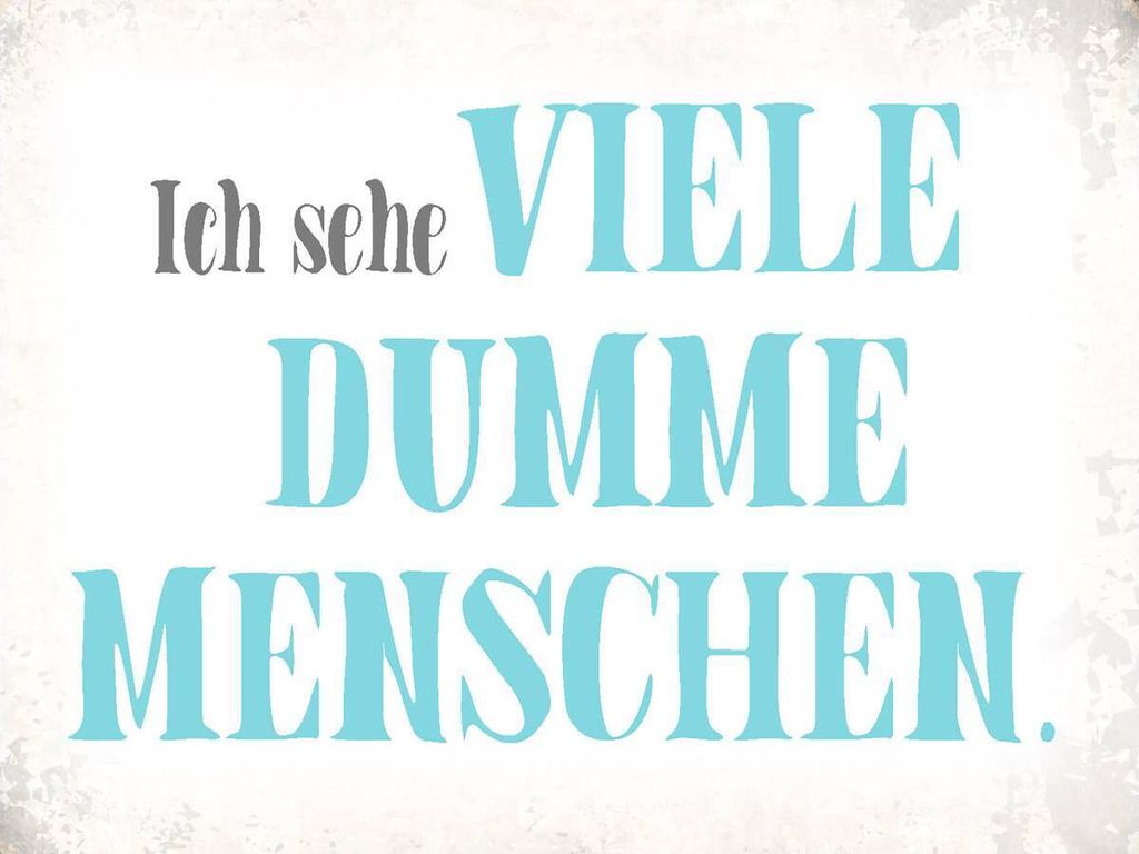 vianmo Holzschild 30x40 cm ich sehe viele dumme Menschen