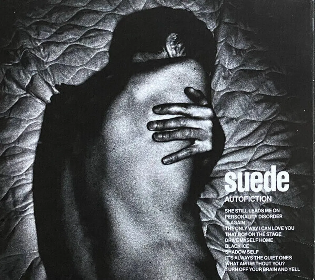 Autofiction Disque pour Platine - Musique Rock pour Soirée Audiophile