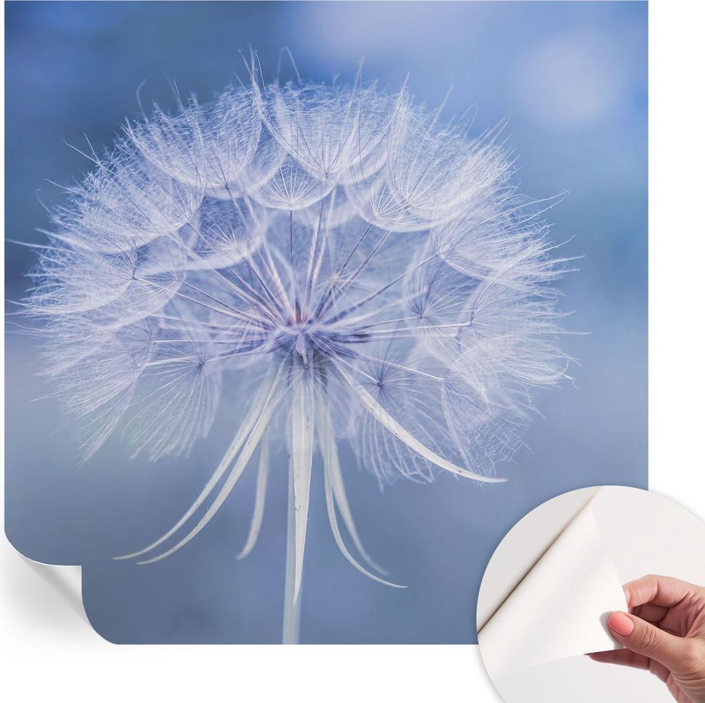 Selbstklebende Wandtapete - Dekorative Tapete für Wohnzimmer - Klebefolie für Wandbilder - Tapetenfolie für Wanddekoration - 250x250 cm - Blaue ...