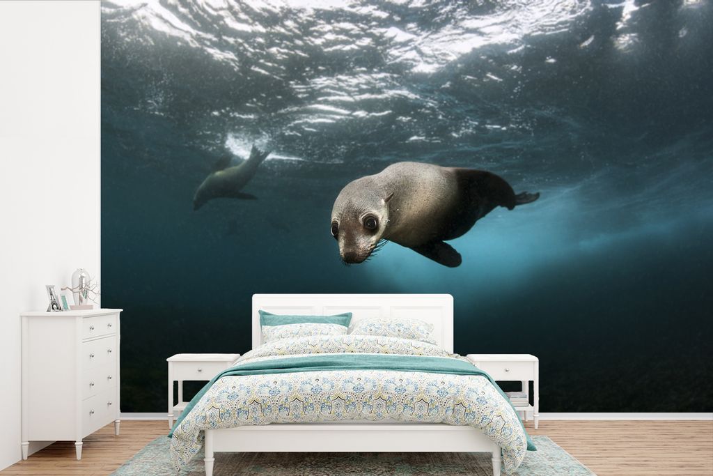 MuchoWow Fototapete für Wohnzimmer oder Schlafzimmer Wandtapete Vinyl Motivtapete Junge Robbe im Atlantischen Ozean - 390x260 cm - Papiertapete