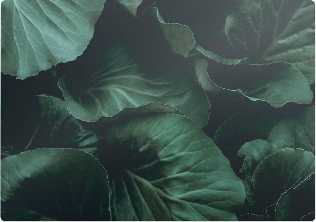 Blätter Im Schatten – Bodenschutzmatte – Rutschfest – Schutzmatte für Büro – Vinylmatte – Stuhlunterlage – 100 x 100 cm