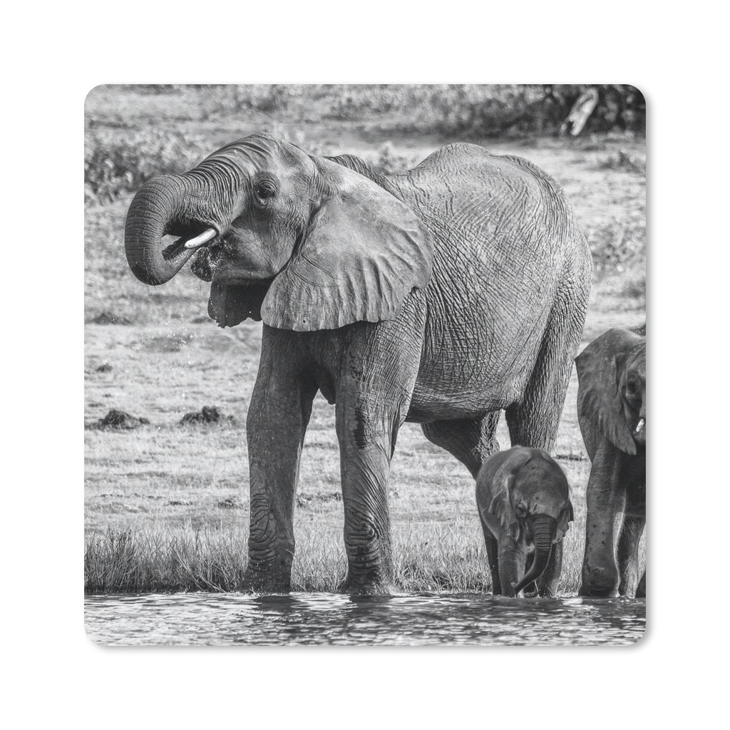 MuchoWow Mauspad Mousepad Elefant - Wasser - Tiere - Schwarz - Weiß 20x20 cm - Mousepads - Maus Mat - Pad - Mausunterlage - Desk Mat - Bureauart...