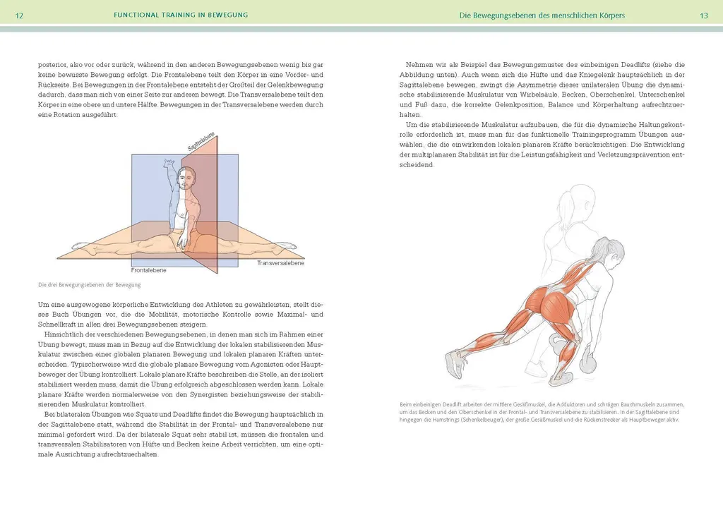 Functional Training Anatomie : Éviter les Blessures et Muscler Juste - 3