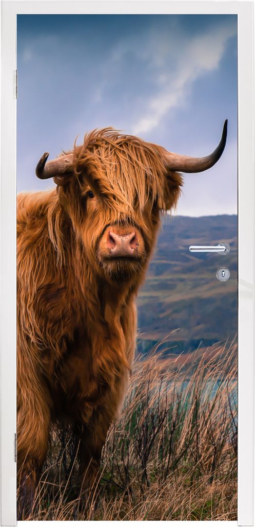 MuchoWow Türtapete Selbstklebende Türfolie Schottischer Highlander - Berg - Wasser - Natur - Kuh 80x215 cm Türposter Türaufkleber Klebefolie ...