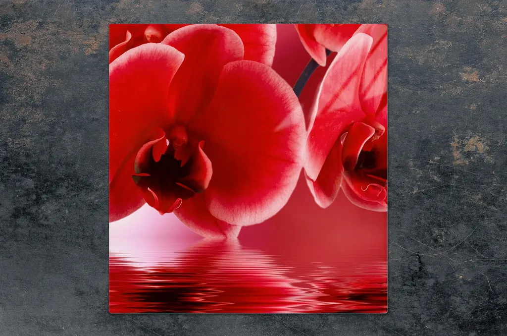 Piastra Vetro Orchidee 50x52: Il Must-Have per la tua Cucina Zen - 3