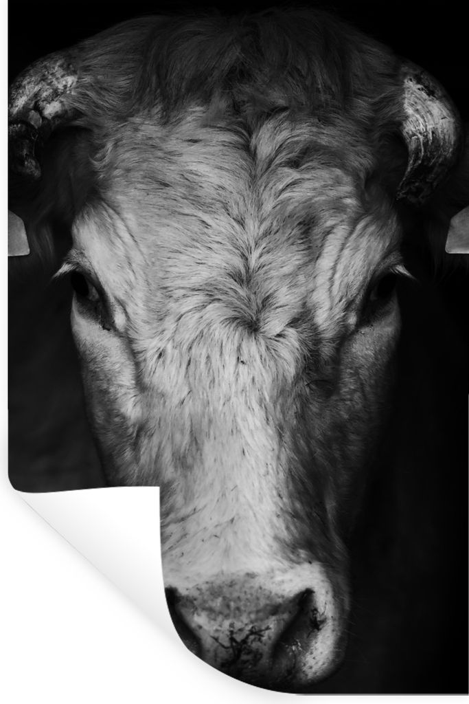 MuchoWow Wandtattoo Wandsticker Wandaufkleber Tiere - Kuh - Schwarz - Weiß - Kuhkopf 60x90 cm Selbstklebend und Repositionierbar - Sticker - Dek...