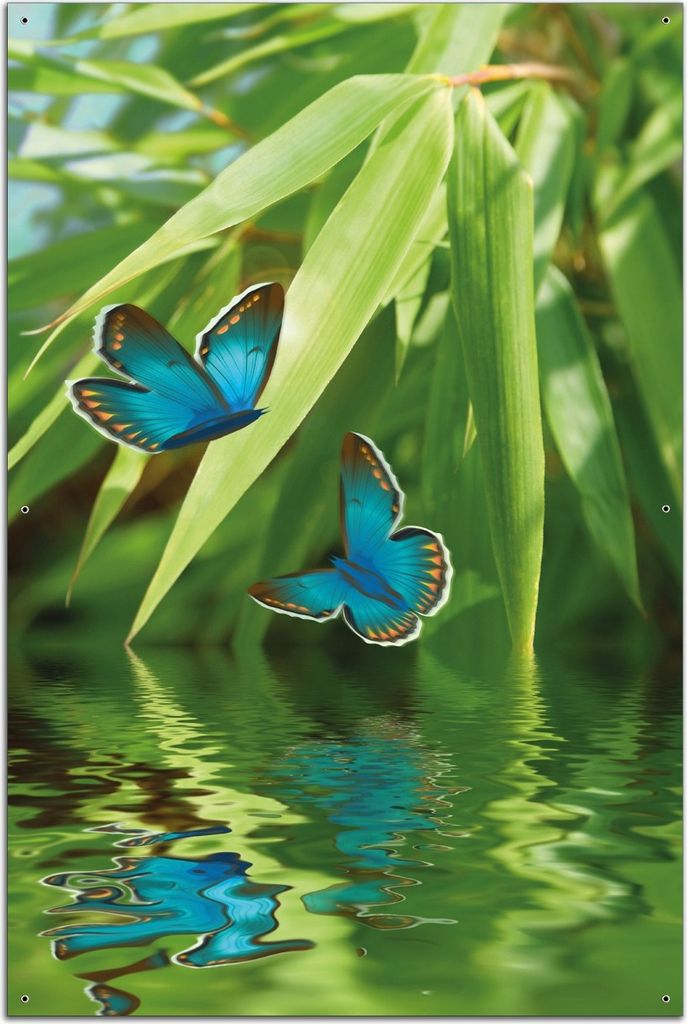 Wallario Outdoor-Poster für Garten oder Balkon, Motiv Schmetterlinge in Reflektion, in ca. 61 x 91,50 cm