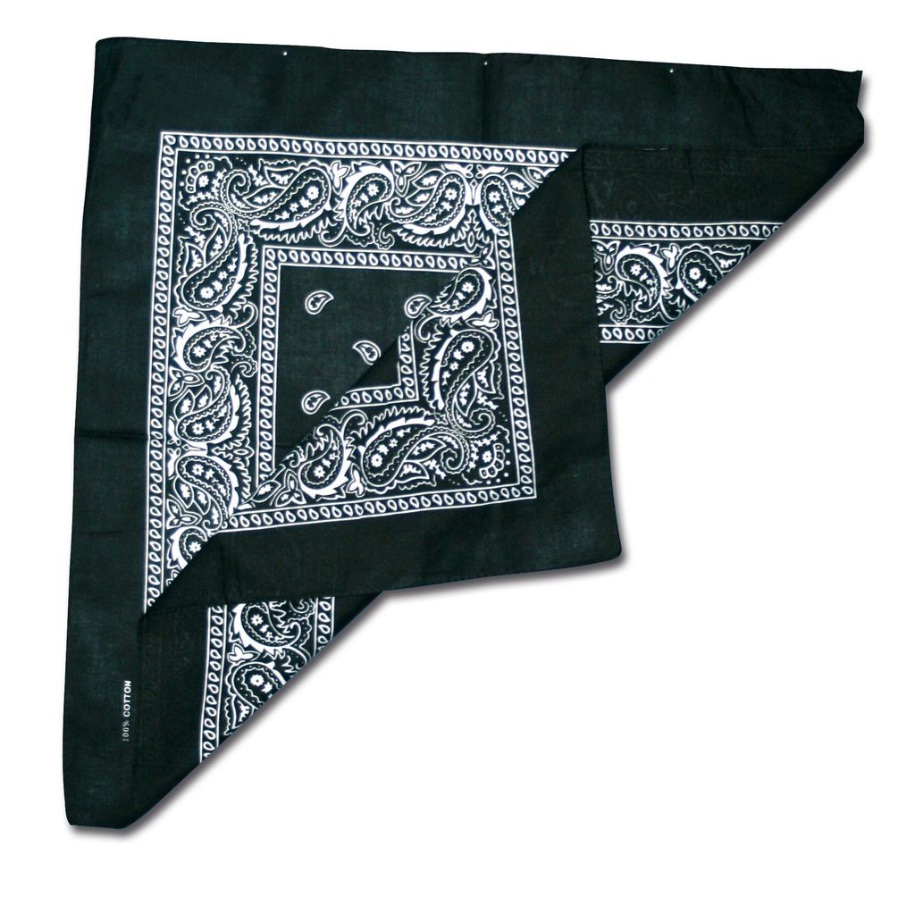 MIL-TEC® Halstuch Westernhalstuch Bandana Kopftuch Paisley Produktbild 2