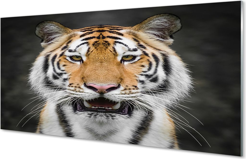 Glasbilder 100x50 Wandkunst Tiger