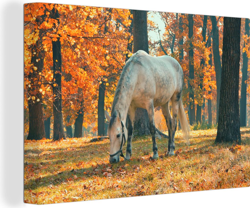 OneMillionCanvasses - Leinwandbilder - 150x100 cm, Pferd - Herbst - Wald, Wandbilder Kunstdruck Wanddekoration