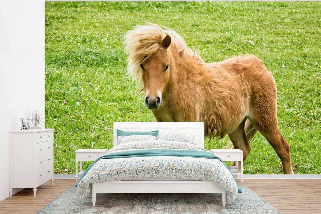 MuchoWow Fototapete für Wohnzimmer oder Schlafzimmer Wandtapete Vinyl Motivtapete Pony in den Niederlanden - 400x300 cm - Papiertapeten
