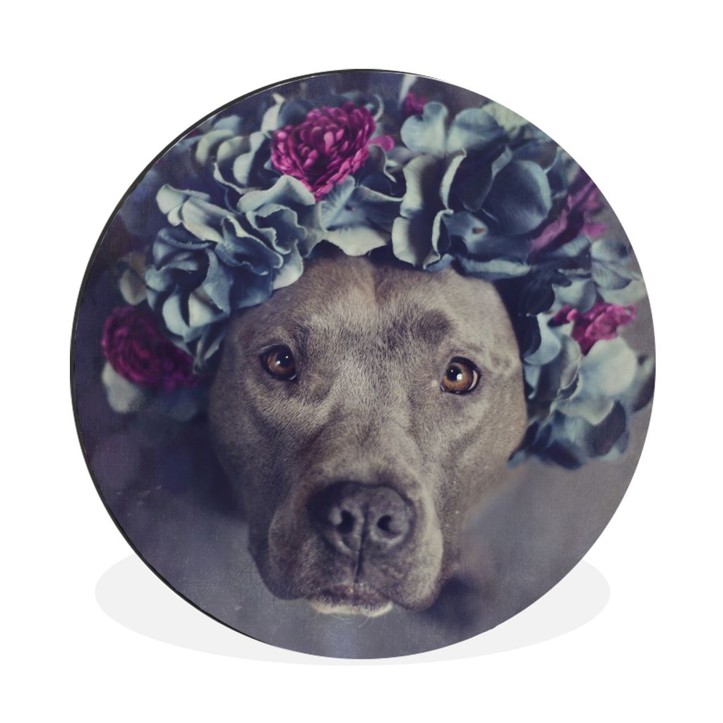 MuchoWow Aluminium Wandkreis Ein American Staffordshire Terrier mit einem Blumenkranz Ø 60 cm Wanddeko Modern Wohnzimmer - Wand Kreis - Wandbild...