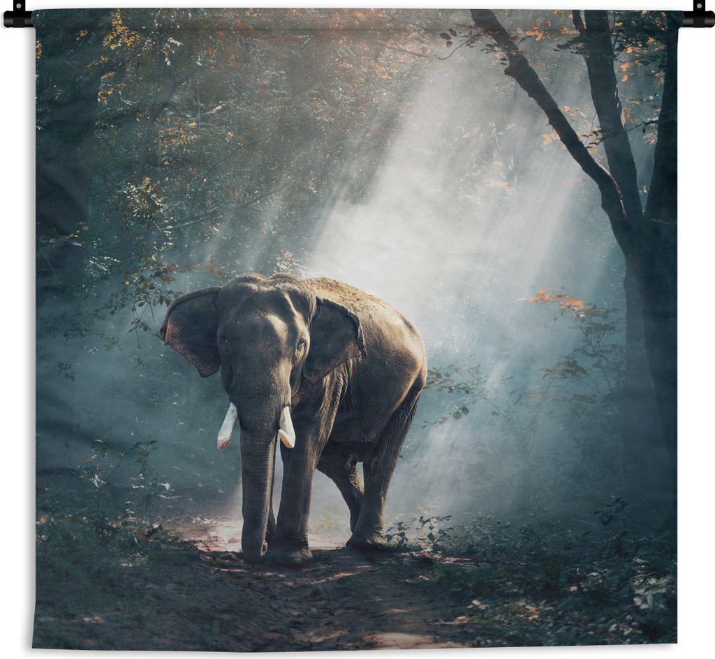 MuchoWow Wandteppich Wandbehang Elefant - Tiere - Licht - Wald - Natur - Wildtiere 120x120 cm Tapisserie Dekoration Wandtuch - Modern - Baumwollg...