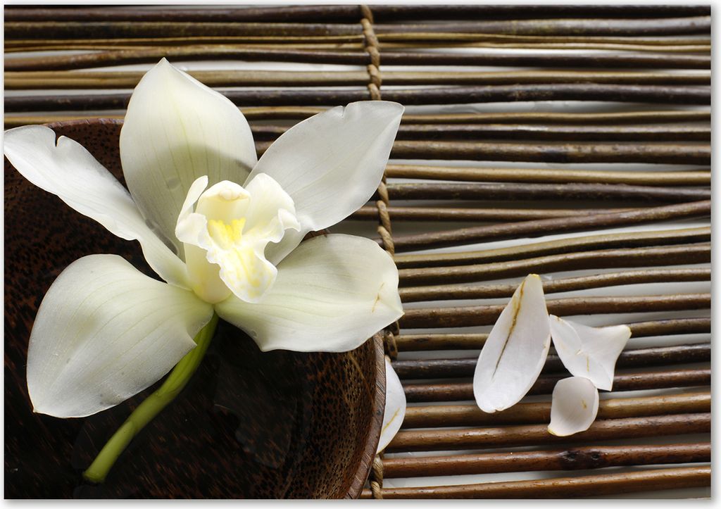 Tulup Leinwandbild - 100x70 cm - Wandkunst - Drucke auf Leinwand - Leinwanddruck - Blumen & Pflanzen - Weiß - Orchidee