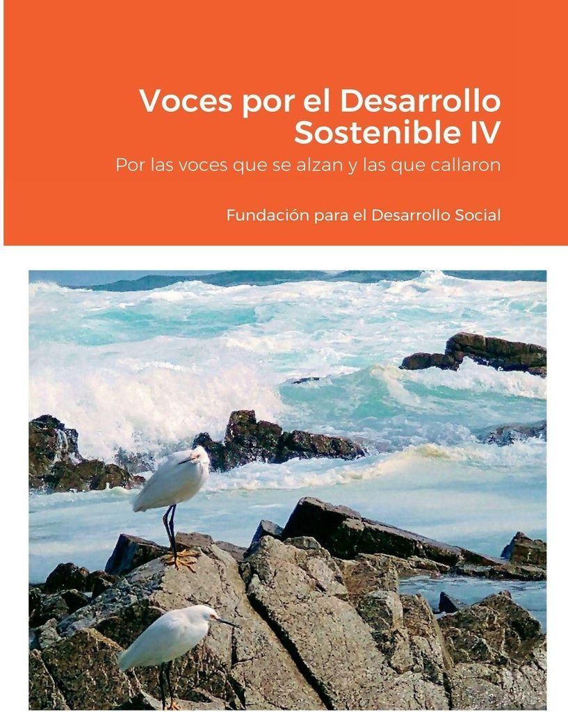 Voces por el Desarrollo Sostenible IV