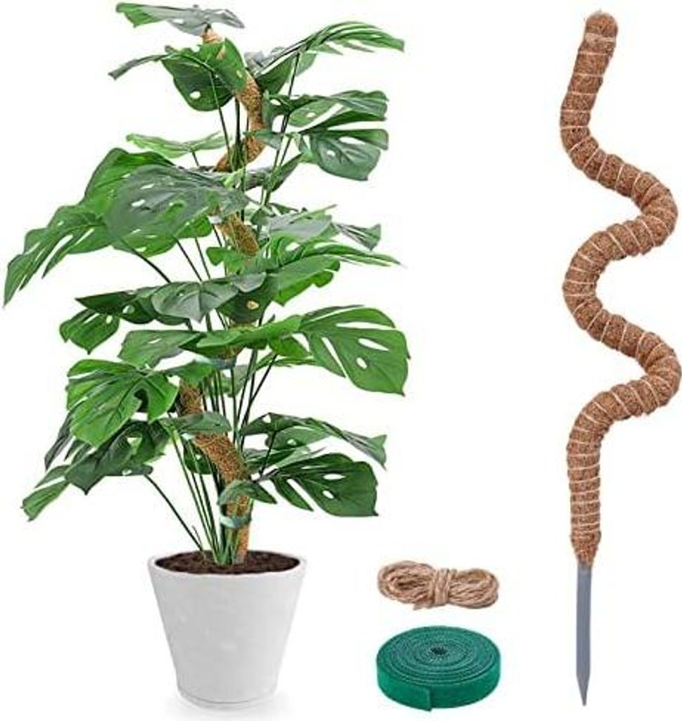 Moosstab für Monstera - 120cm Biegsame Pflanzenstütze für Produktbild 