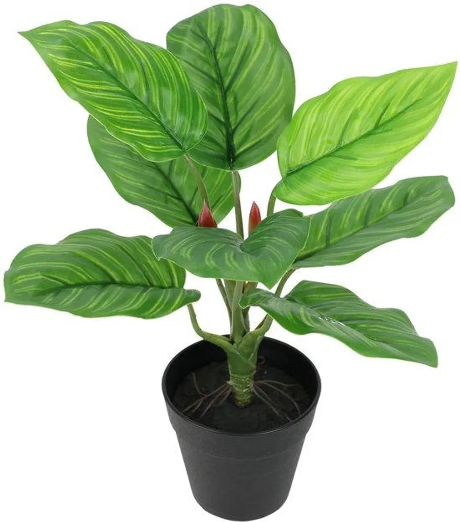 Marant Artificiel Real Touch en Pot - Plante d'Intérieur Décorative 45cm