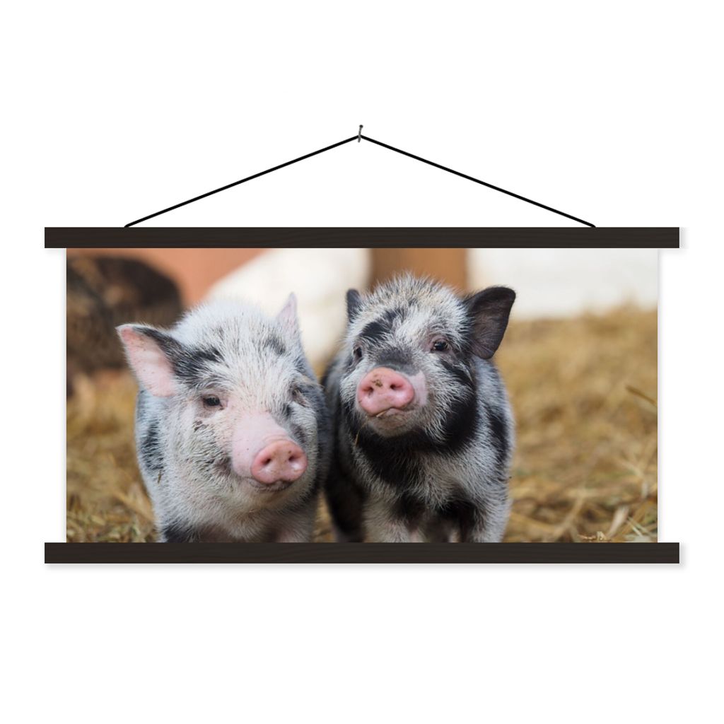 MuchoWow Textilposter Schwein - Tiere - Ferkel 90x45 cm mit schwarzem Rahmen - Klemmleisten