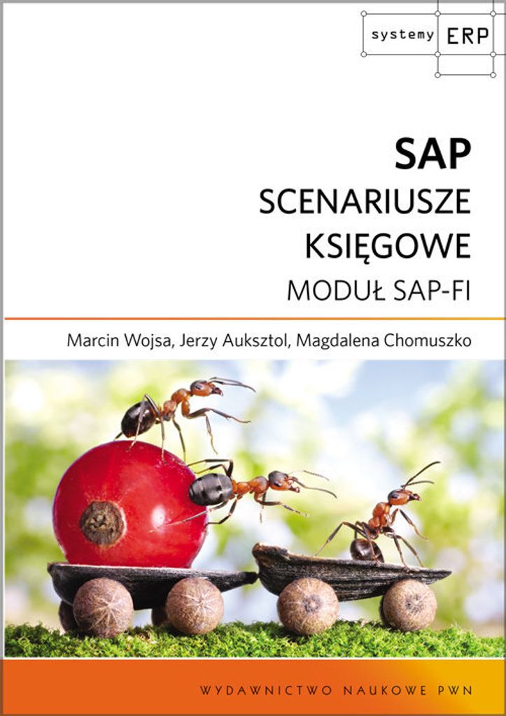 SAP Scenariusze księgowe (Buch auf Polnisch)