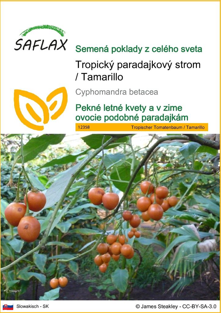 SAFLAX - Tropický paradajkový strom / Tamarillo - Obrázok produktu 