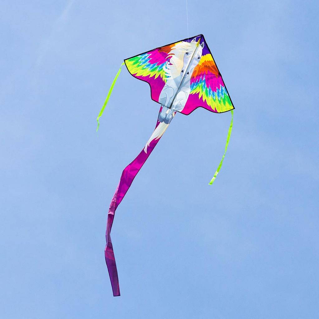 HQ Ecoline Flying Creatures Kinderdrachen – Einleiner-Drachen Mit 25m Schnur, Wenig Wind Nötig, Ab 5 Jahren (inkl. Griff)