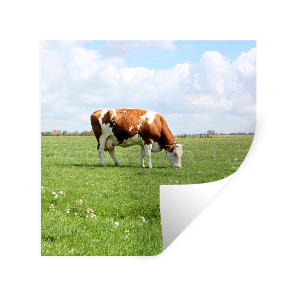 MuchoWow Wandtattoo Wandsticker Wandaufkleber Kuh - Braun - Weiß - Tier 100x100 cm Selbstklebend und Repositionierbar - Wierderverwendbar - Selb...