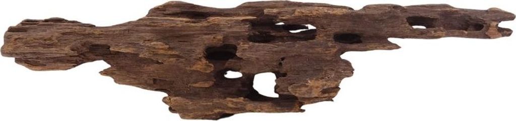 L Honey Comb Wurzel Nr.2980 Holz Deko Aquascaping