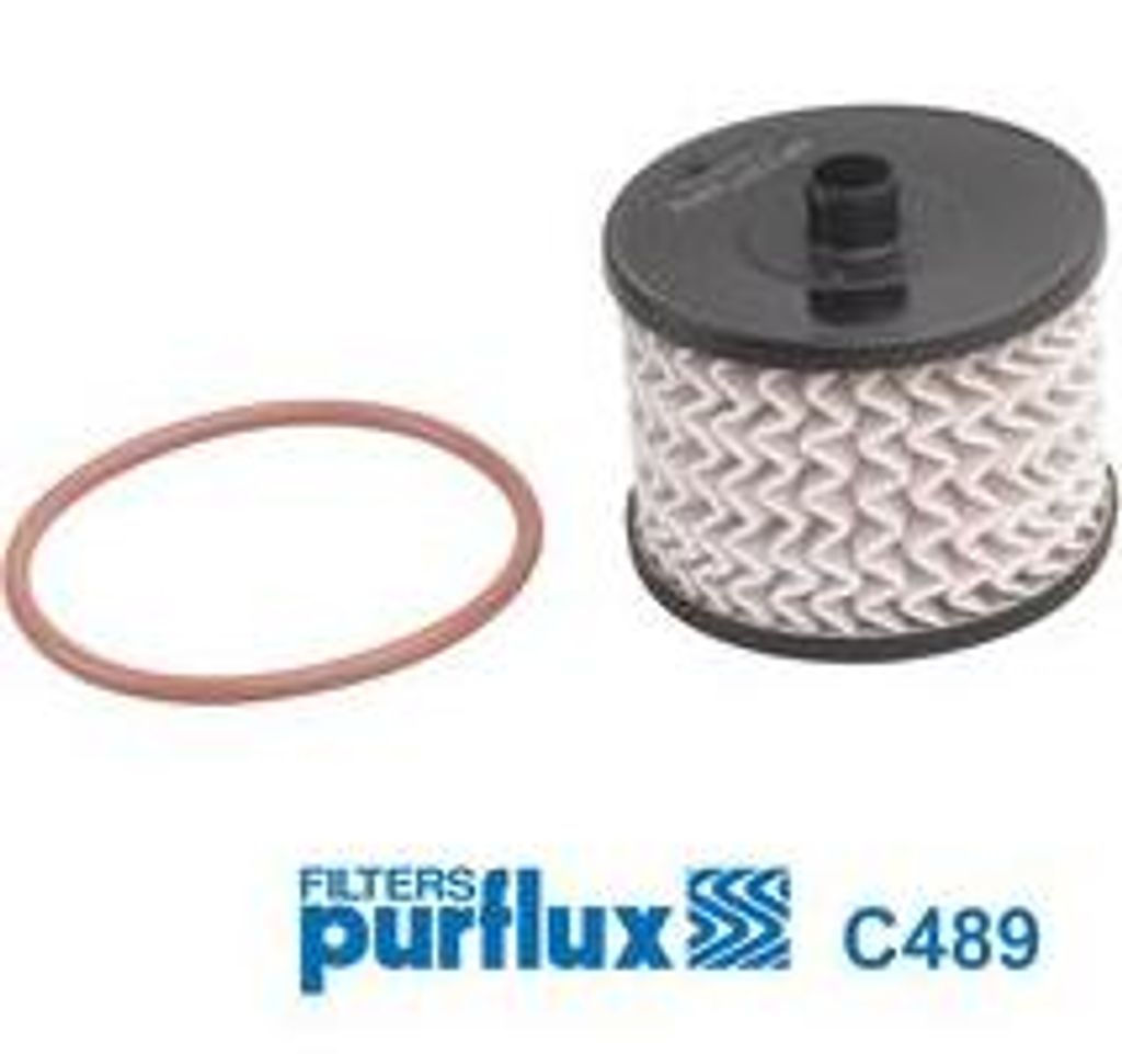 PURFLUX C489 Kraftstofffilter OE ACD8086E kompatibel mit C4er, C4, C5, C8, Jumpy, Scudo, Ulysse, C-Max, Focus, Galaxy, Kuga, S-Max, Phedra, 307, 30...