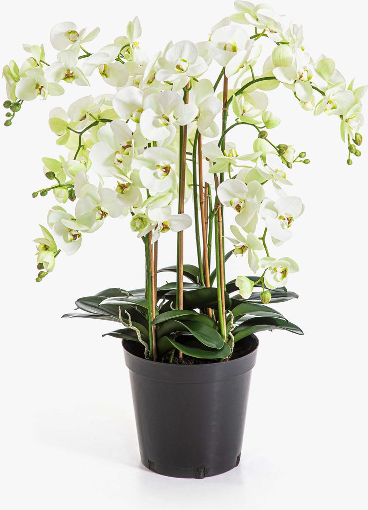 artplants.de Künstliche Orchidee FINEA im Dekotopf, Creme, 85cm - Kunst Phalaenopsis