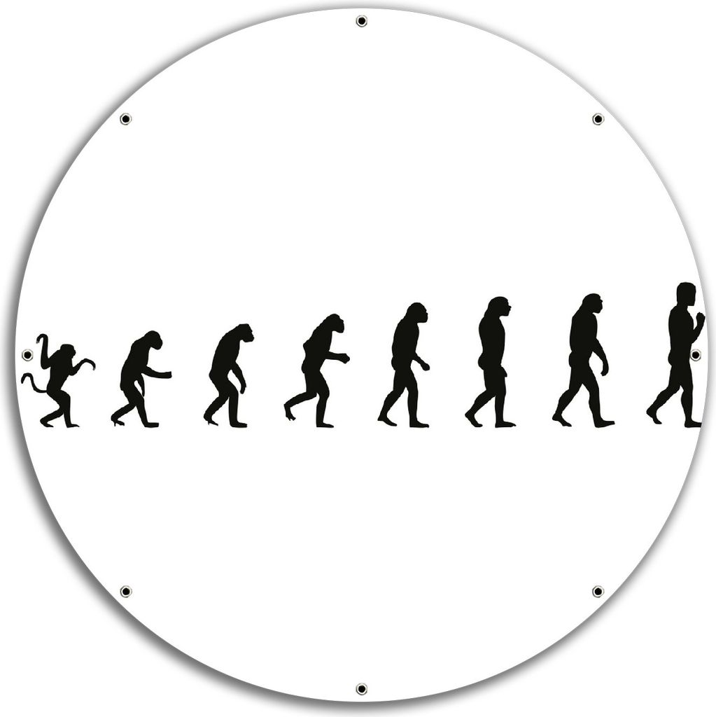 Wallario rundes Outdoor-Poster für Garten oder Balkon, Motiv Evolution - Die Entwicklung des Menschen, 60 cm Durchmesser