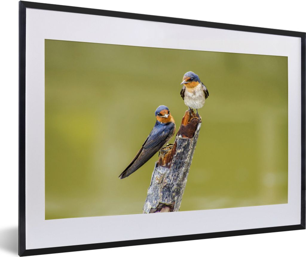 MuchoWow MuchoWow Gerahmtes Poster Vögel - Zweig - Porträt 60x40 cm - Poster mit zchwarzem Bilderrahmen - Schlafzimmer - Plakat in Rahmen - D...
